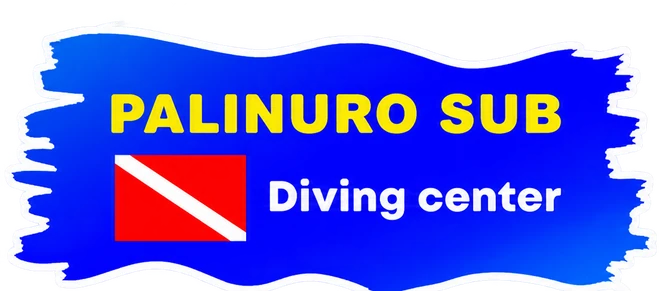 Palinuro Sub Diving Center