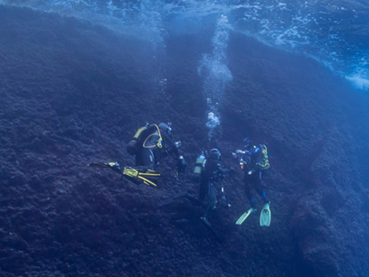 Immersioni nel sito Cala del guarracino