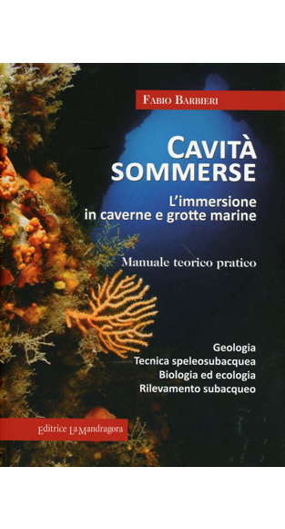 Copertina di Cavità sommerse
