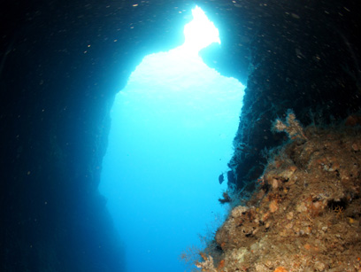 Immersioni nel sito Costa Azzurra