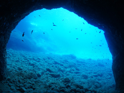 Immersioni nel sito Cratere