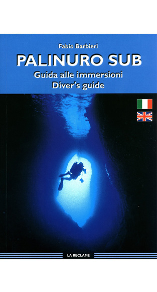 Copertina di Palinuro Sub · Guida alle immersioni