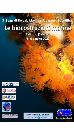 Locandina dello stage di biologia marina 2023