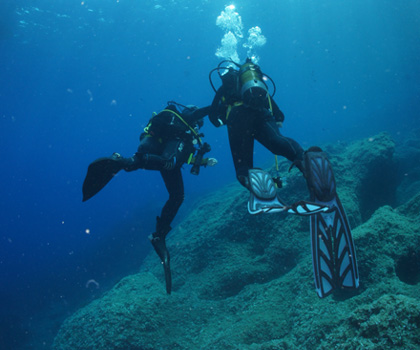 Palinuro Sub Galleria Fotografica