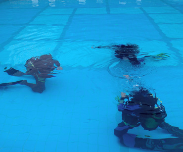 Palinuro Sub - Corsi Subacquei