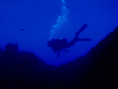 Immersioni nel sito Costa Azzurra