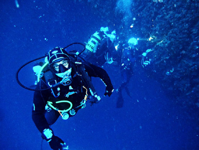 Immersioni nel sito Posidonia