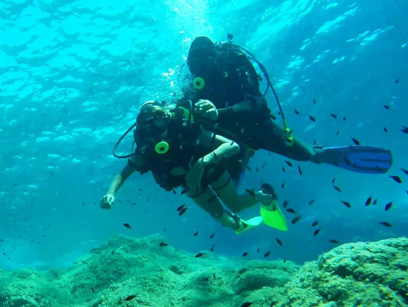 Immersioni nel sito Scoglio del Coniglio